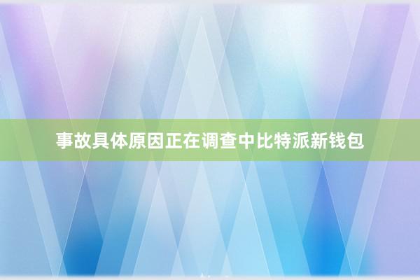 事故具体原因正在调查中比特派新钱包