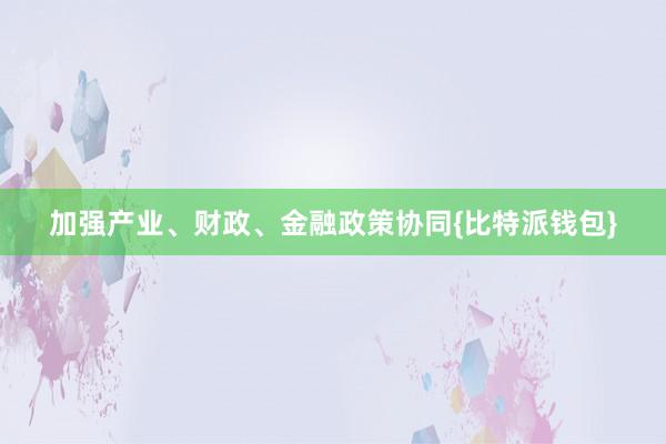 加强产业、财政、金融政策协同{比特派钱包}