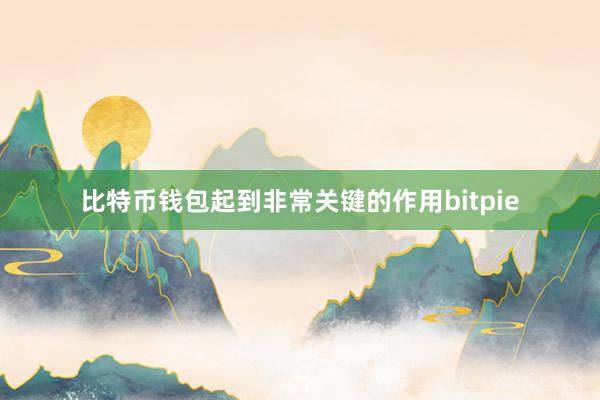 比特币钱包起到非常关键的作用bitpie