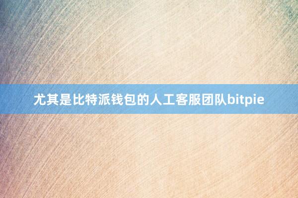 尤其是比特派钱包的人工客服团队bitpie