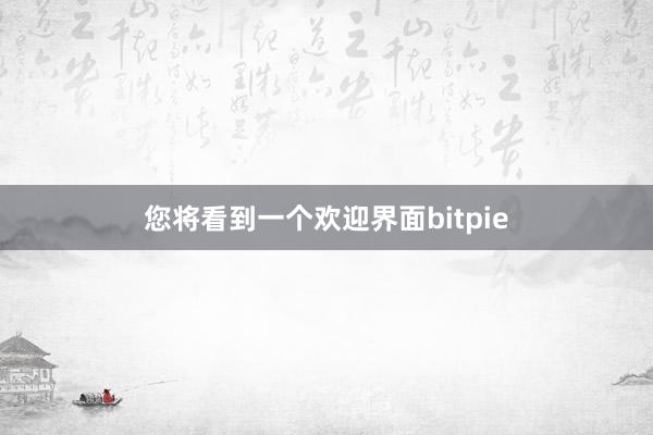 您将看到一个欢迎界面bitpie