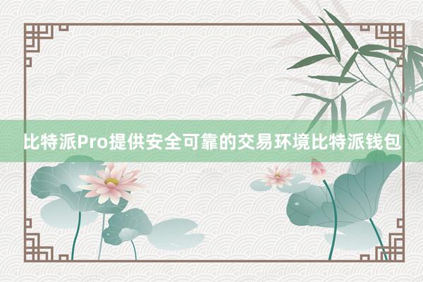 比特派Pro提供安全可靠的交易环境比特派钱包