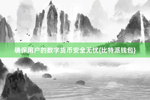 确保用户的数字货币安全无忧{比特派钱包}