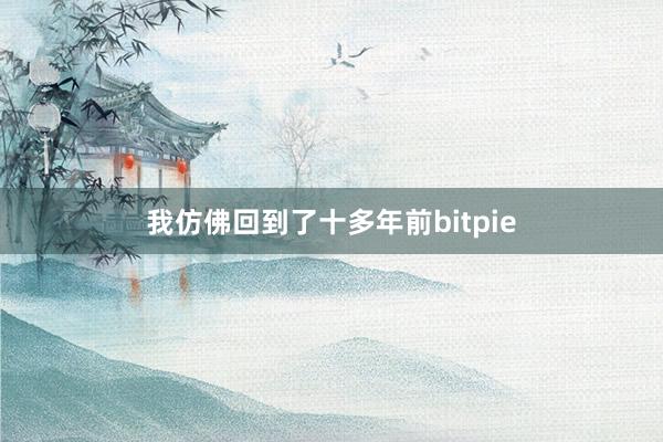 我仿佛回到了十多年前bitpie