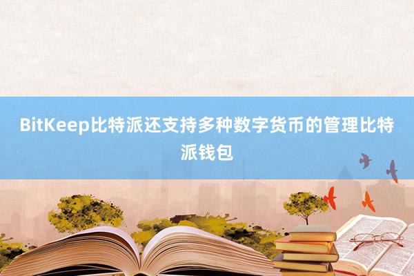 BitKeep比特派还支持多种数字货币的管理比特派钱包