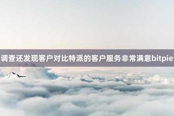 调查还发现客户对比特派的客户服务非常满意bitpie