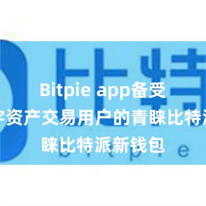 Bitpie app备受广大数字资产交易用户的青睐比特派新钱包