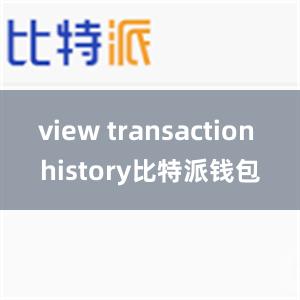 view transaction history比特派钱包