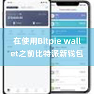 在使用Bitpie wallet之前比特派新钱包